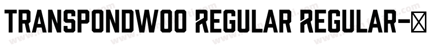TranspondW00 Regular Regular字体转换